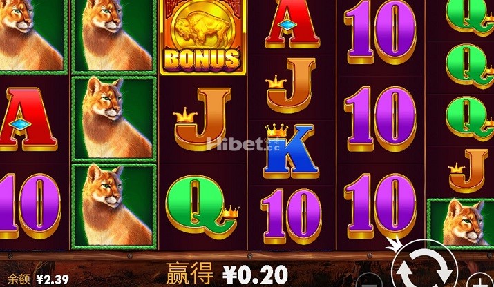 王者野牛玩到是亏损几块钱